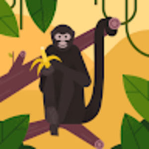 Meet your Posher, Kirana